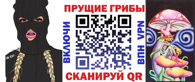 Псилоцибиновые грибы Cubensis  Усть-Катав 