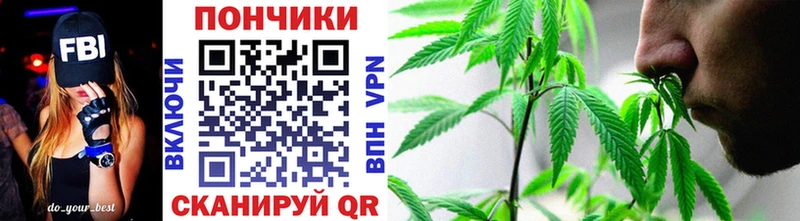 Шишки марихуана план  наркота  Усть-Катав 